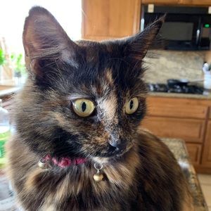 Meet your Posher, Anette